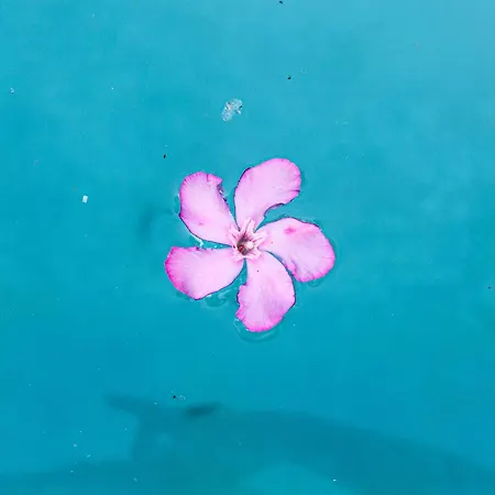 Okira House * Aguda (Porto)