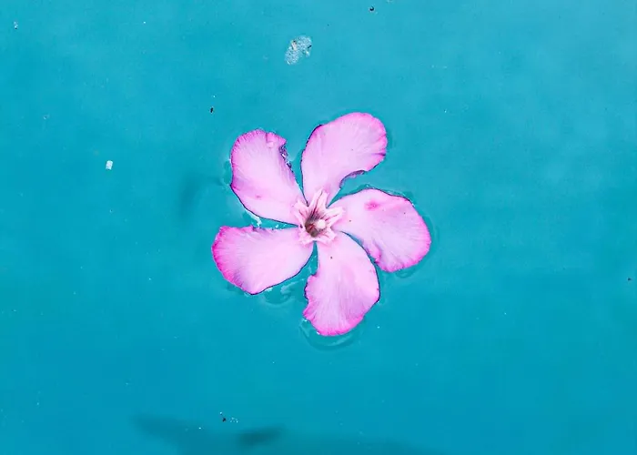 Okira House * Aguda (Porto)